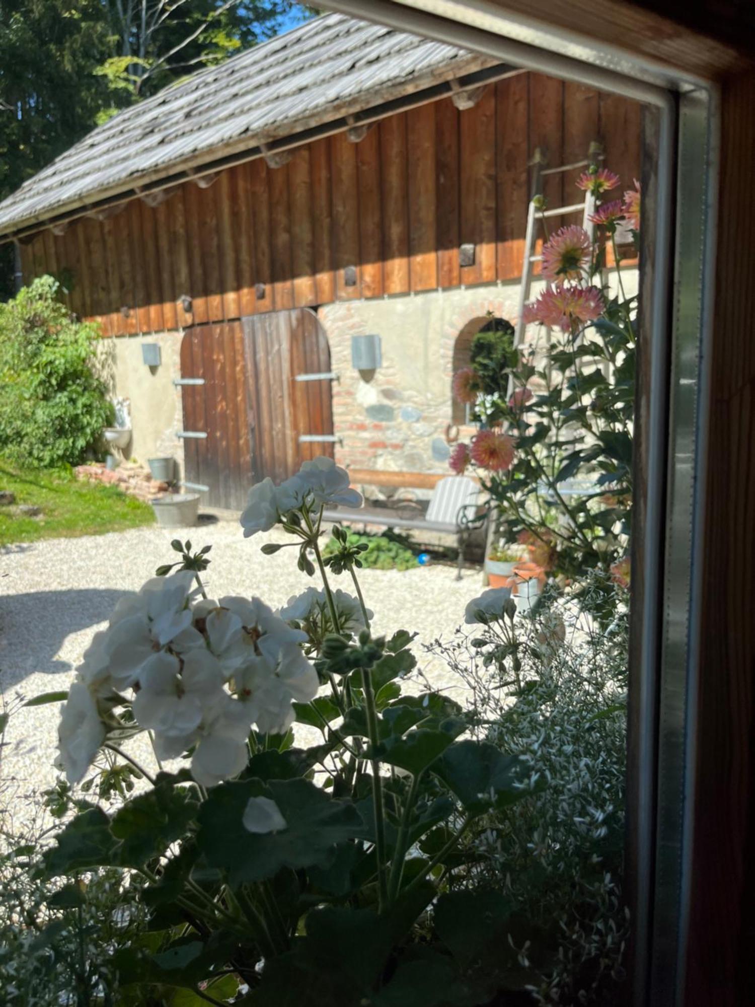 Ferienwohnung Waldhauser Hermagor-Pressegger See Dış mekan fotoğraf